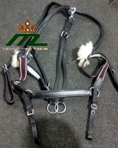 Horse Bridle Leather